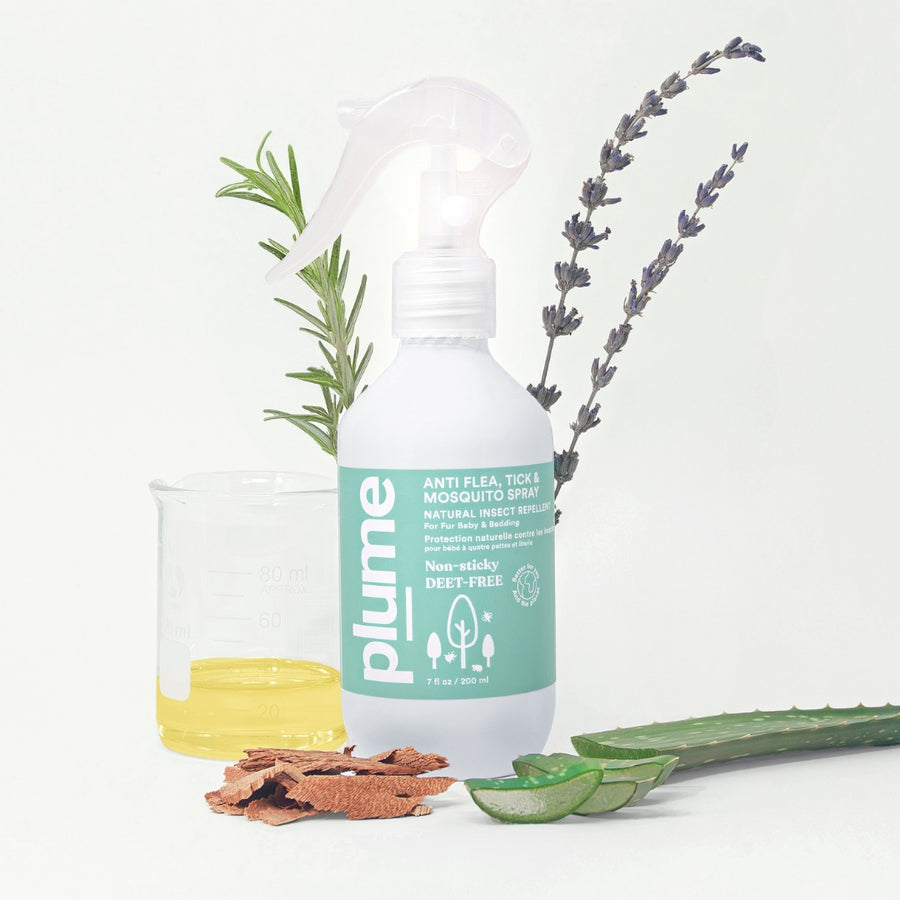 Natural Insect Repellent - Non-Sticky & DEET FREE Anti Flea, Tick & Mosquito Spray 200ML