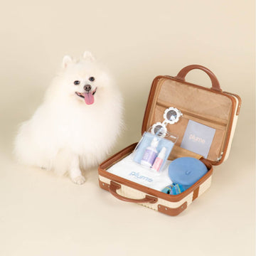 Plume Care Travel Pack 1 (Fragrance free shampoo 60ml + hydrating mist 15ml)