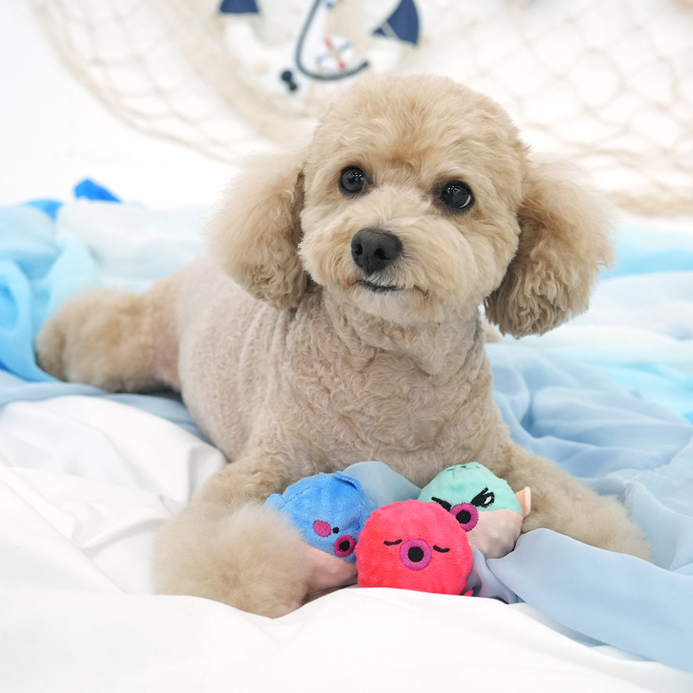 Parisdog Peel Off Ocean Ball Toy
