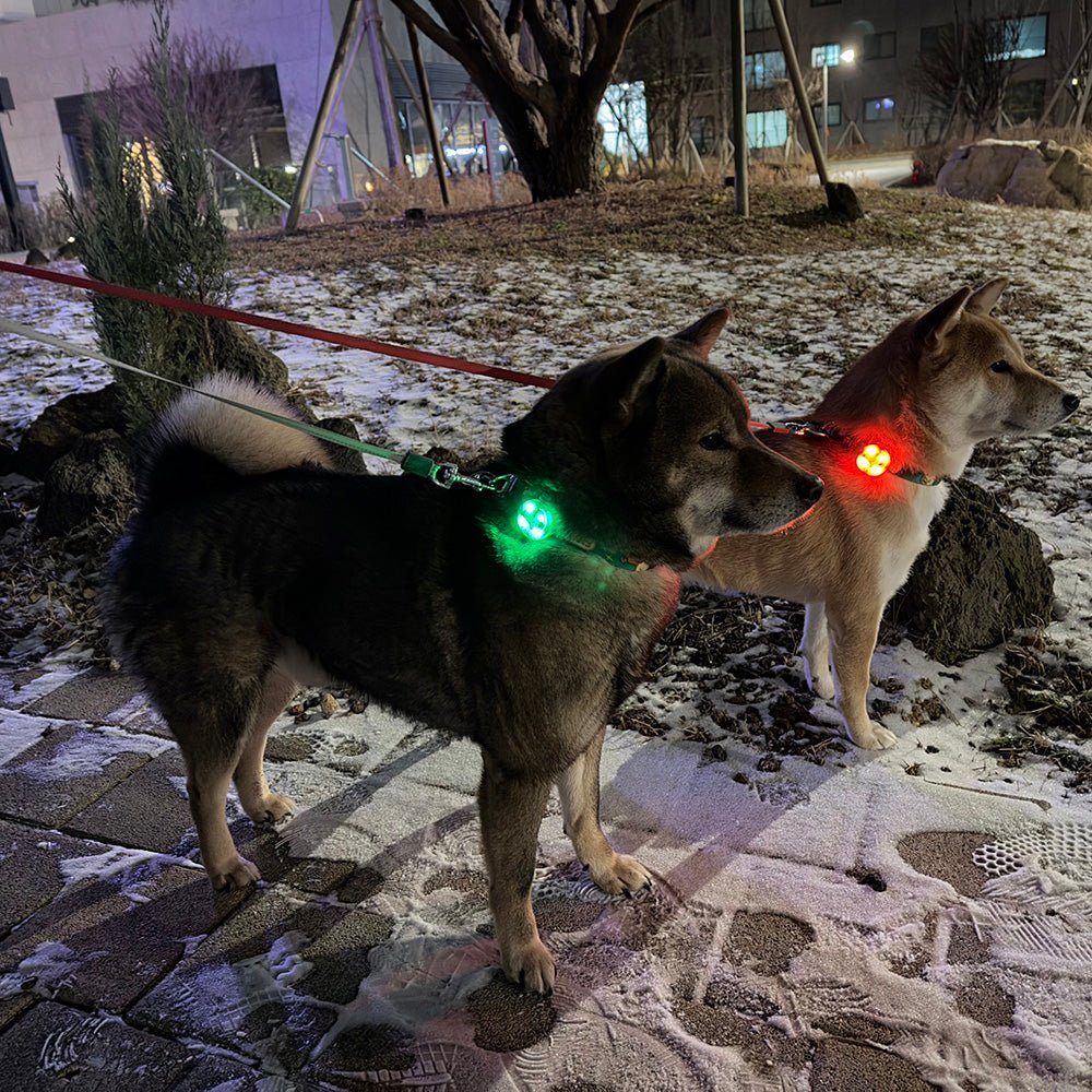 Peanuts Rechargeable Light Blinker - Pop Pop Pets