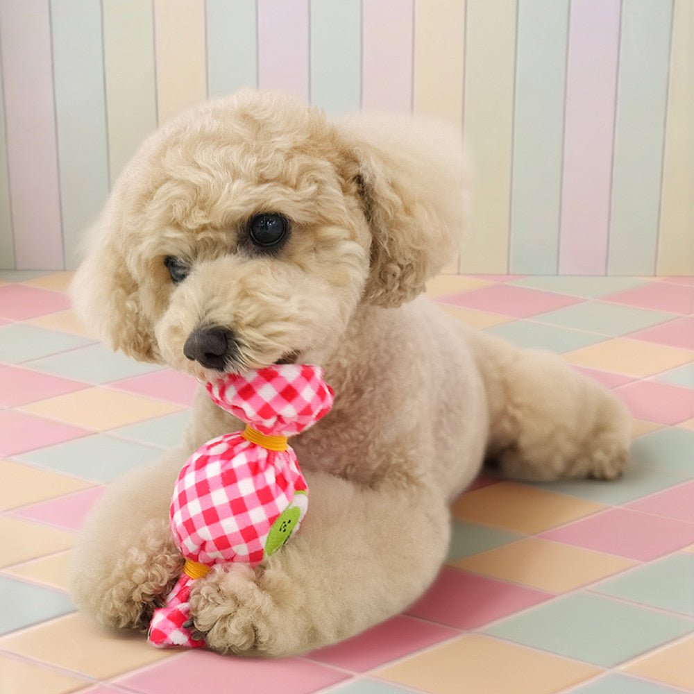 Parisdog Fruit Candyball Toy - Pop Pop Pets