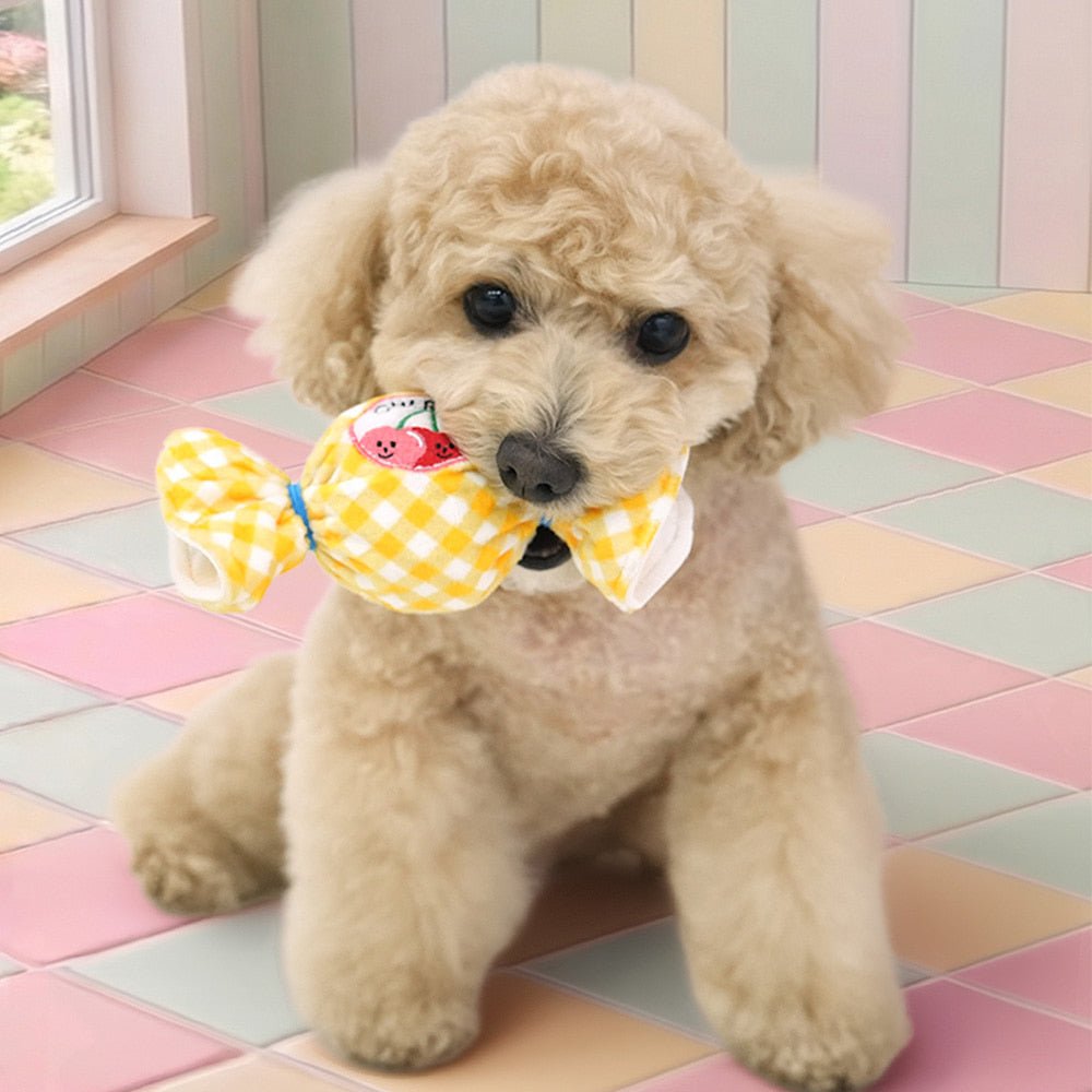 Parisdog Fruit Candyball Toy - Pop Pop Pets