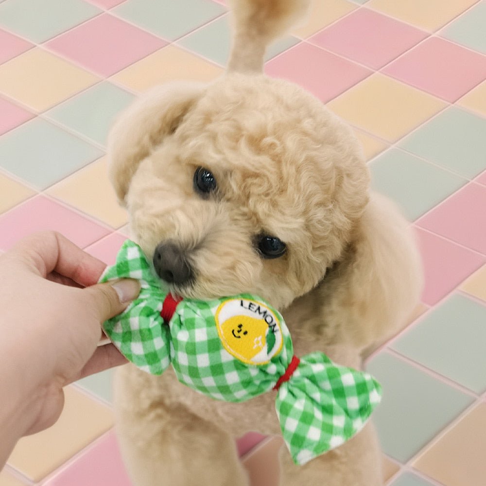 Parisdog Fruit Candyball Toy - Pop Pop Pets