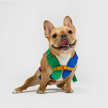 Sputnik 10th Annivesary Edition Harness