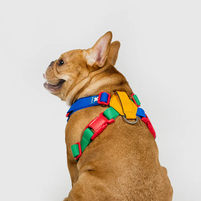 Sputnik 10th Annivesary Edition Harness