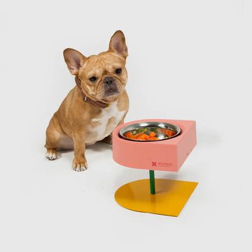 Sputnik 10th Anniversary Cozy Anti-Ants Pet Bowl