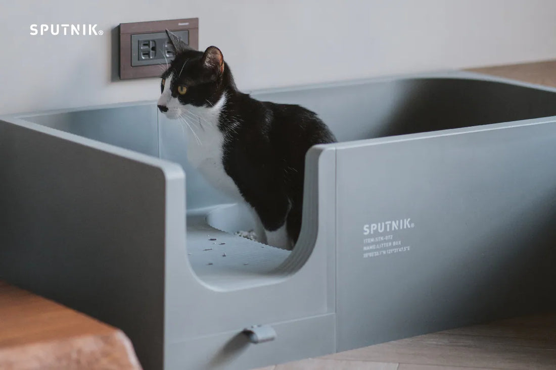 Sputnik Cat Litter Box