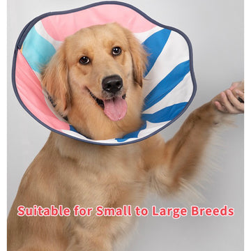 Comfy Soft Cone Elizabethan Collar Recovery for Post Surgery Dogs/ Cats Large Breed