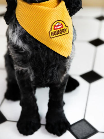 Paw-some Achiever: Cute & Quirky Scout's Honour Merit Badge for Pets (Ironed-On Patches) - Always Hungry