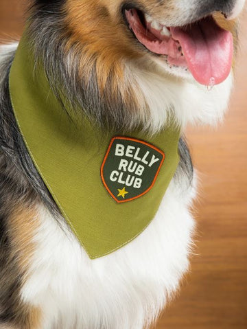 Paw-some Achiever: Cute & Quirky Scout's Honour Merit Badge for Pets (Ironed-On Patches) - Belly Rub Club
