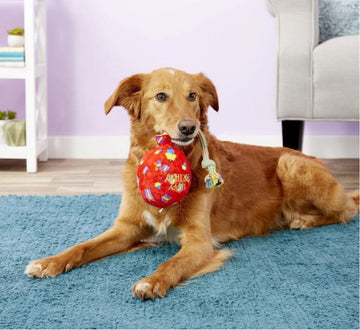 Party Paws Birthday Bash Pet Toys for Dogs/Cats (Kong Birthday Balloon Tug Toy)