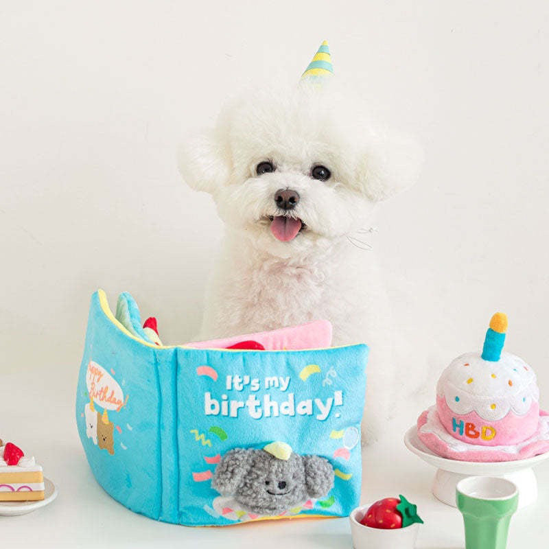 Birthday Playbook for Dogs/Cats Interactive Snuffle Mat