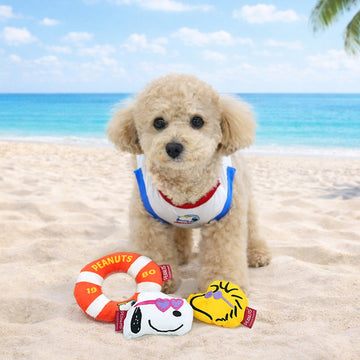 Peanuts Korea Summer Sports Toy Set