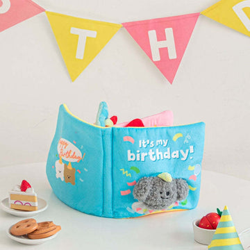 Birthday Playbook for Dogs/Cats Interactive Snuffle Mat