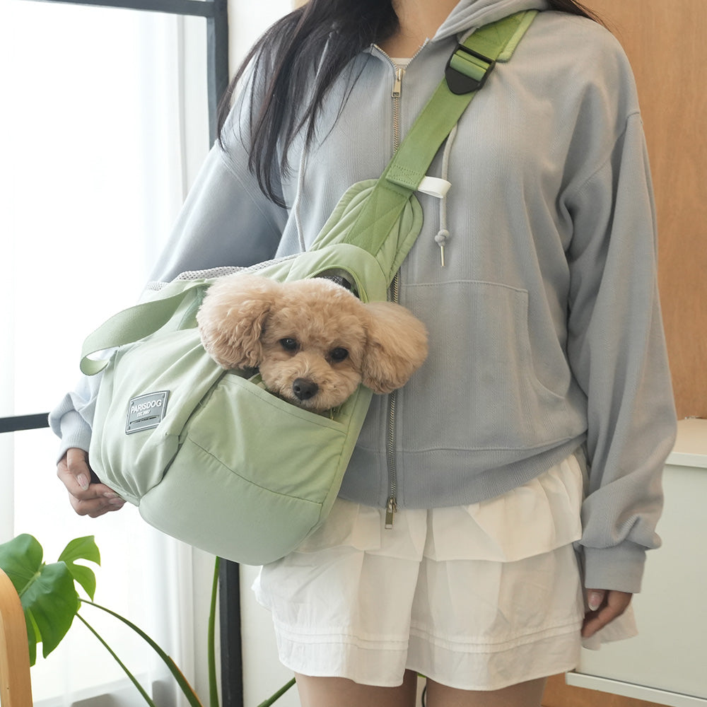 ParisDog Korea Big Pocket City Bag