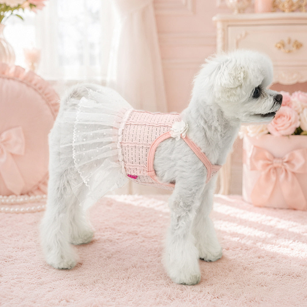 Parisdog Korea Tutu Dress
