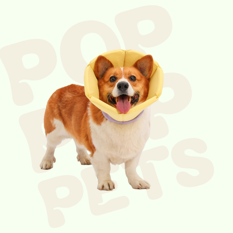 Pop Pop Soft Drawstring Recovery Cone