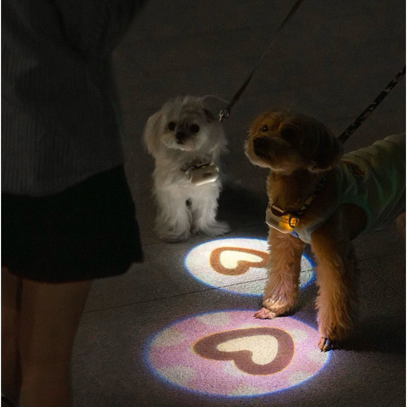 Mewoofun Night Light Rechargeable Dog Collar