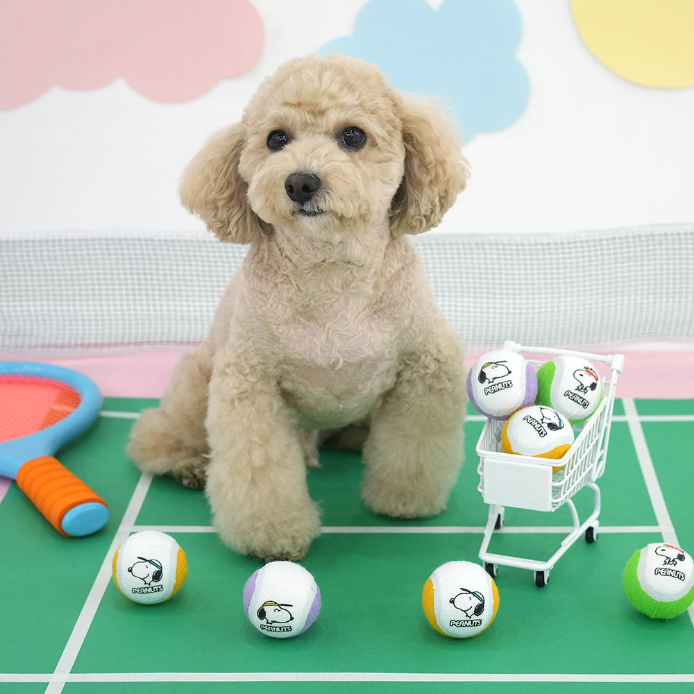 Peanuts Korea Tennisball Set of 3