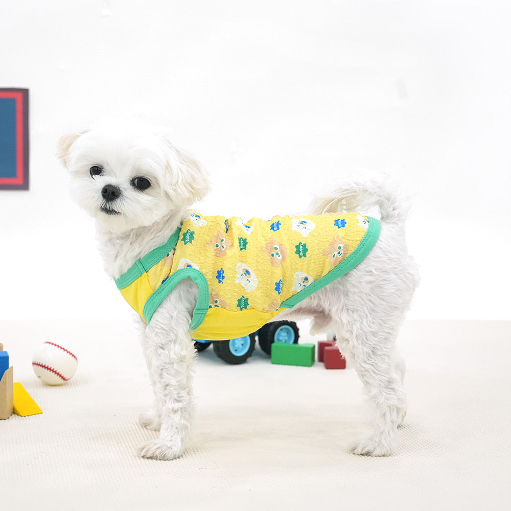 Parisdog Korea Buddy Bear Bubble T-Shirt for Pets