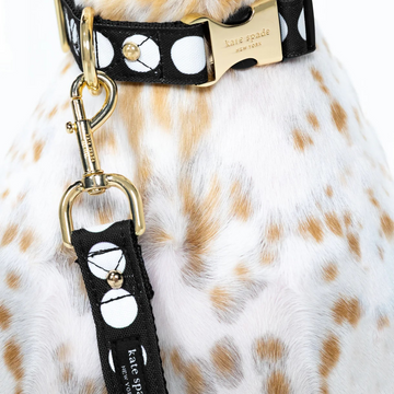 Kate Spade Art Dot Collar / Leash