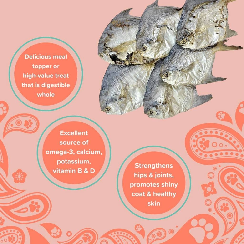 Furmily Baby Pomfret Handmade Pet Treats (5pcs)