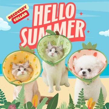 Comfy Soft Cone Elizabethan Collar Recovery Collar for Post Surgery Dogs/ Cats