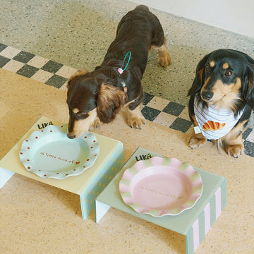 Likapaws Garden Picnic Ceramic Plate & Acrylic Stand