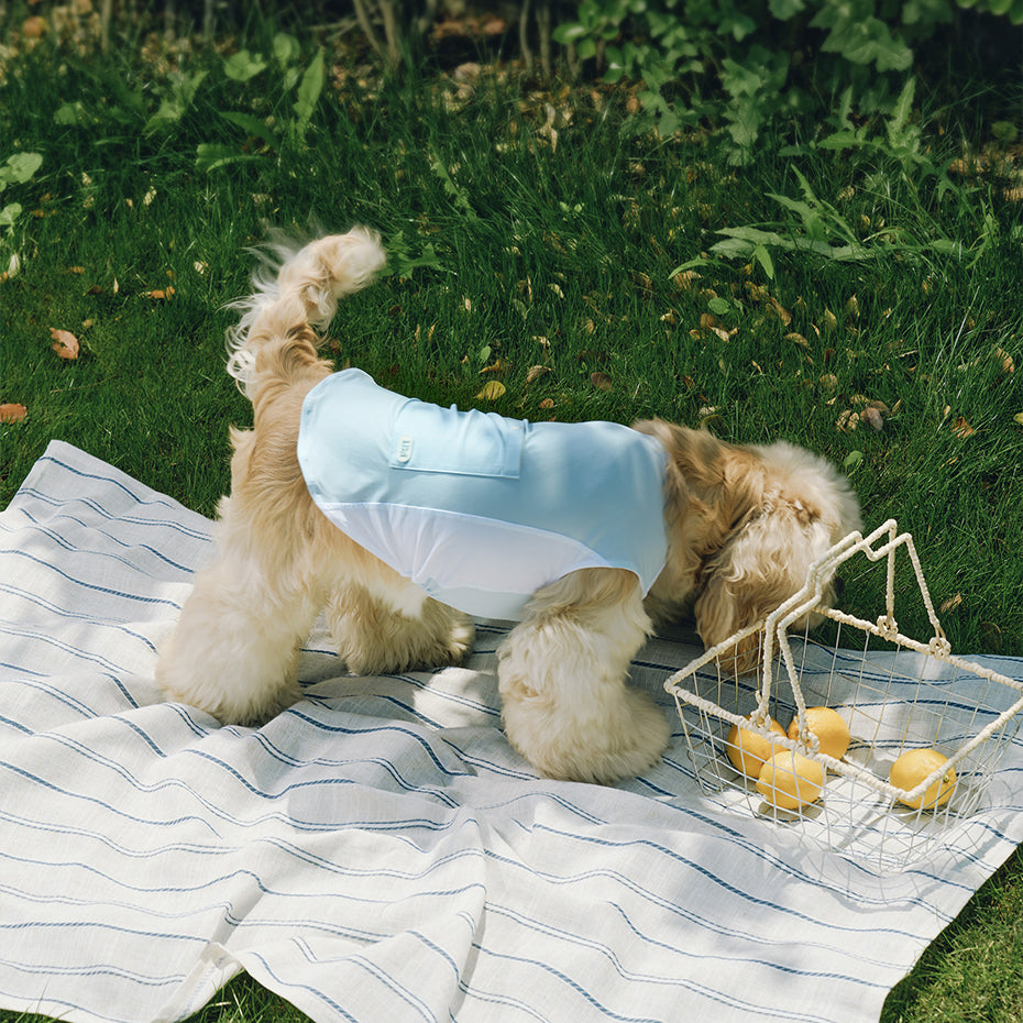 Likapaws Slushy Chill Tank