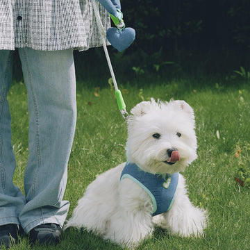 Likapaws Blue Hour Pet Harness & Leash