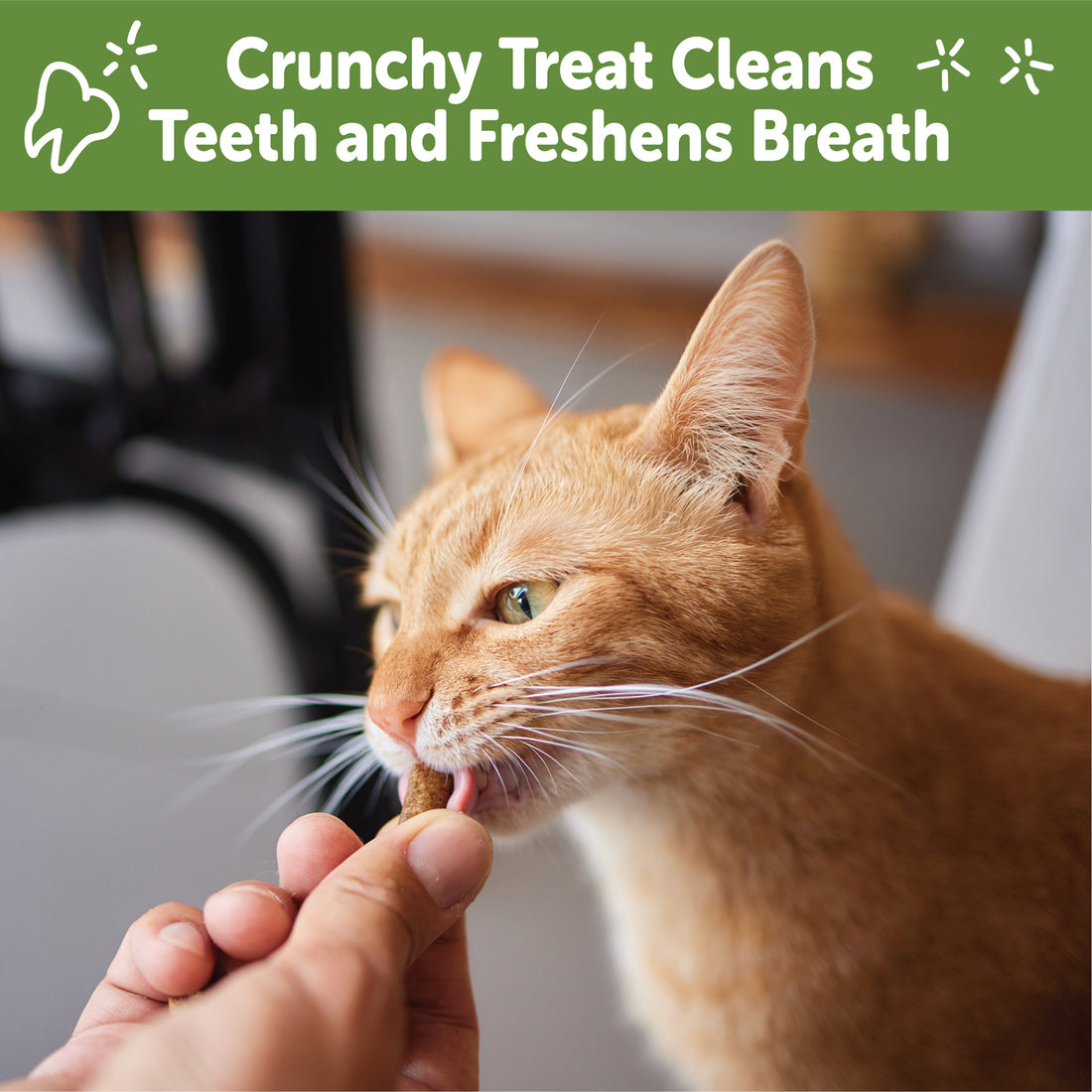 Silversky Whimzees Cat Dental Treats