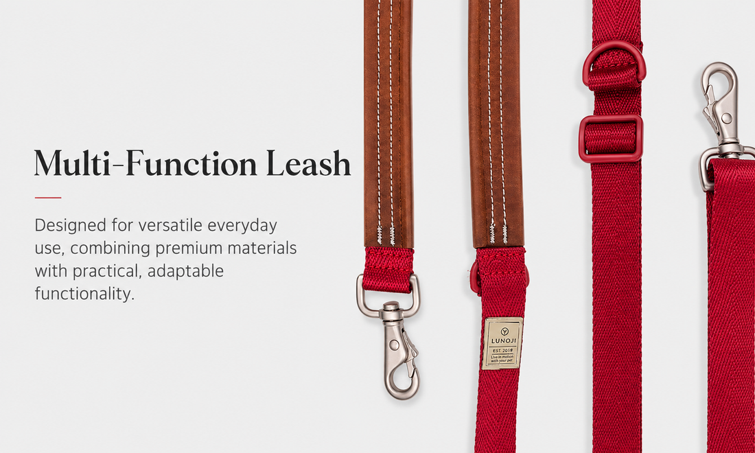 Sputnik Explore Leash
