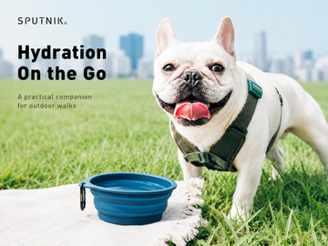 Sputnik Explore Collapsible Bowl
