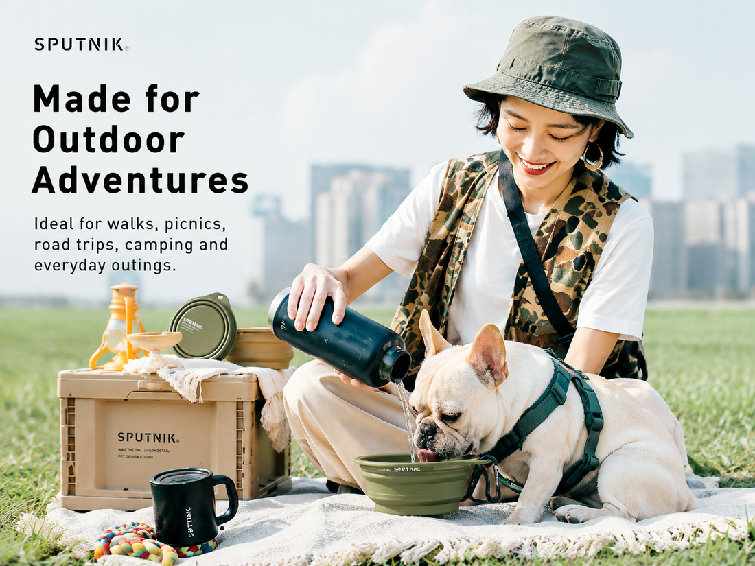 Sputnik Explore Collapsible Bowl