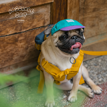 Sputnik Pet Baseball Cap
