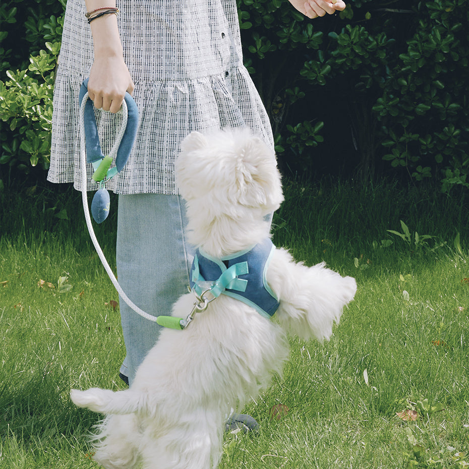 Likapaws Blue Hour Pet Harness & Leash