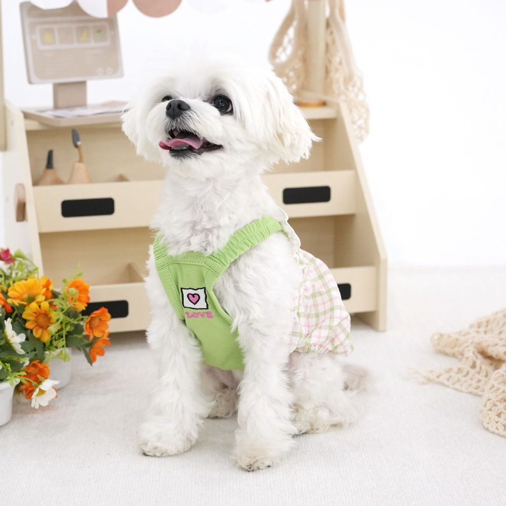 Peanuts Apron Pumpkin Dress