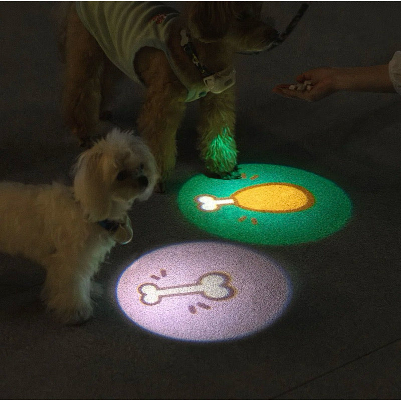 Mewoofun Night Light Rechargeable Dog Collar