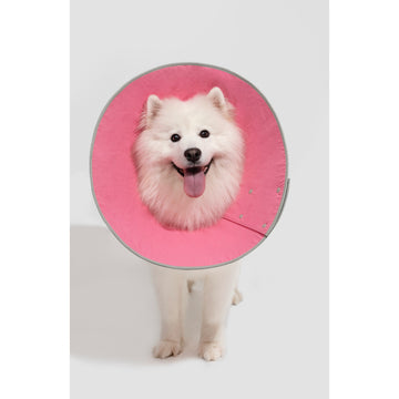 Soft Cone No Velcro Elizabethan Collar Recovery for Post Surgery Dogs/ Cats Large Breed