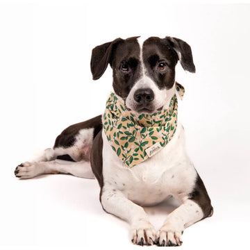 The Paws Winter Berry Bandana for Dogs/ Cats *Handmade in Bali* Birthday/ Valentine's Day*
