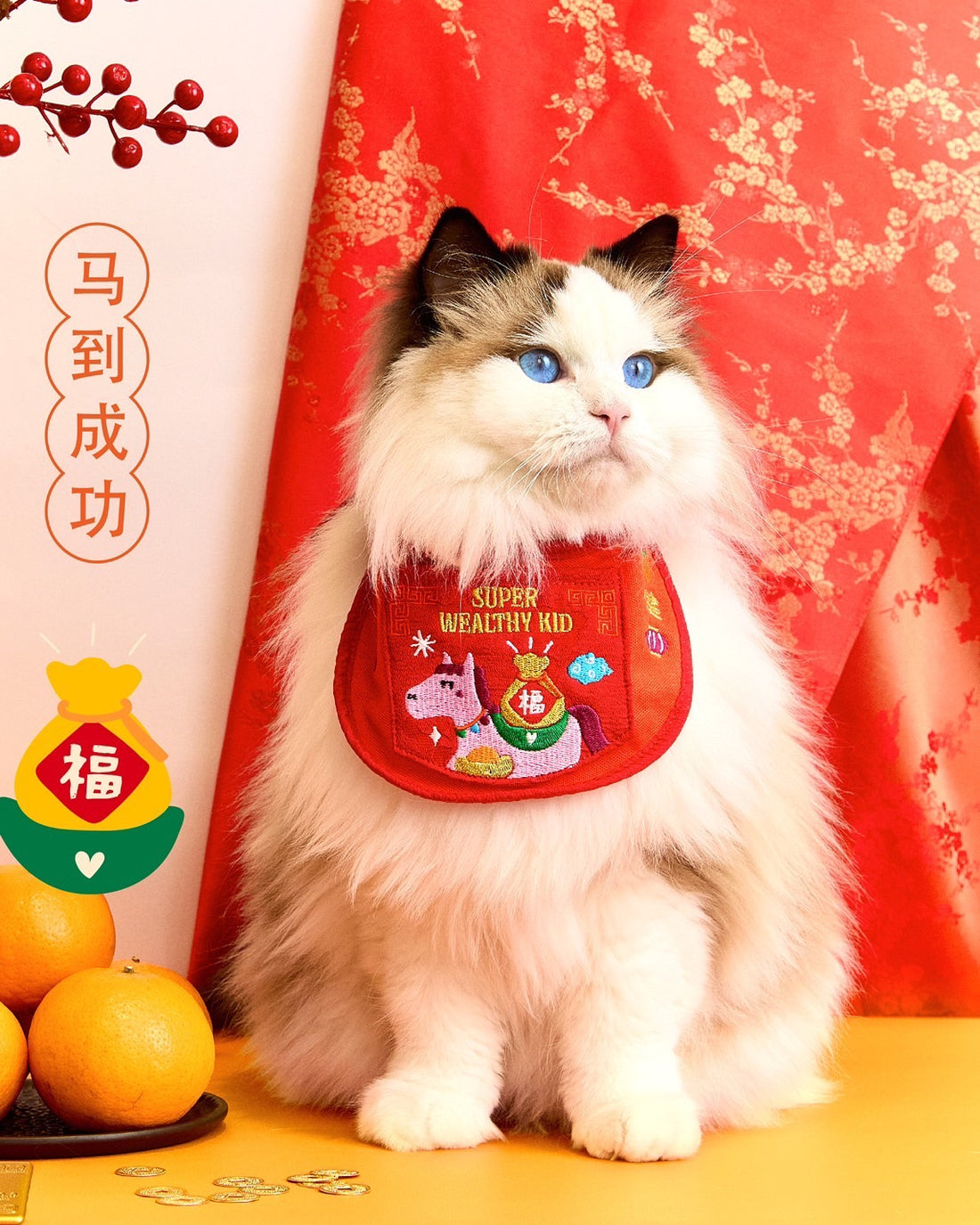 [PRE ORDER] Doggu CNY Pet Bib - Super Wealthy Kid