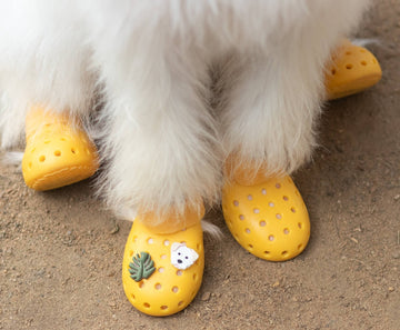 Wagwear WagWellies® Mojave