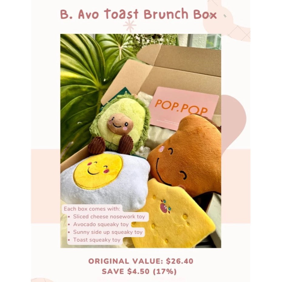 Super Value Themed Dog Toy Boxes (Avo Toast Brunch Box)