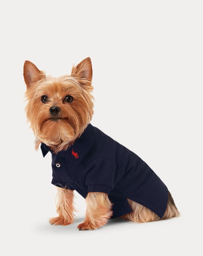 Ralph Lauren Cotton Mesh Polo Shirt - Core