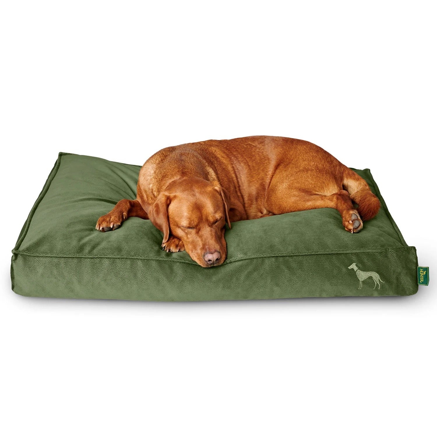 Hunter Merida Orthopaedic Cushion
