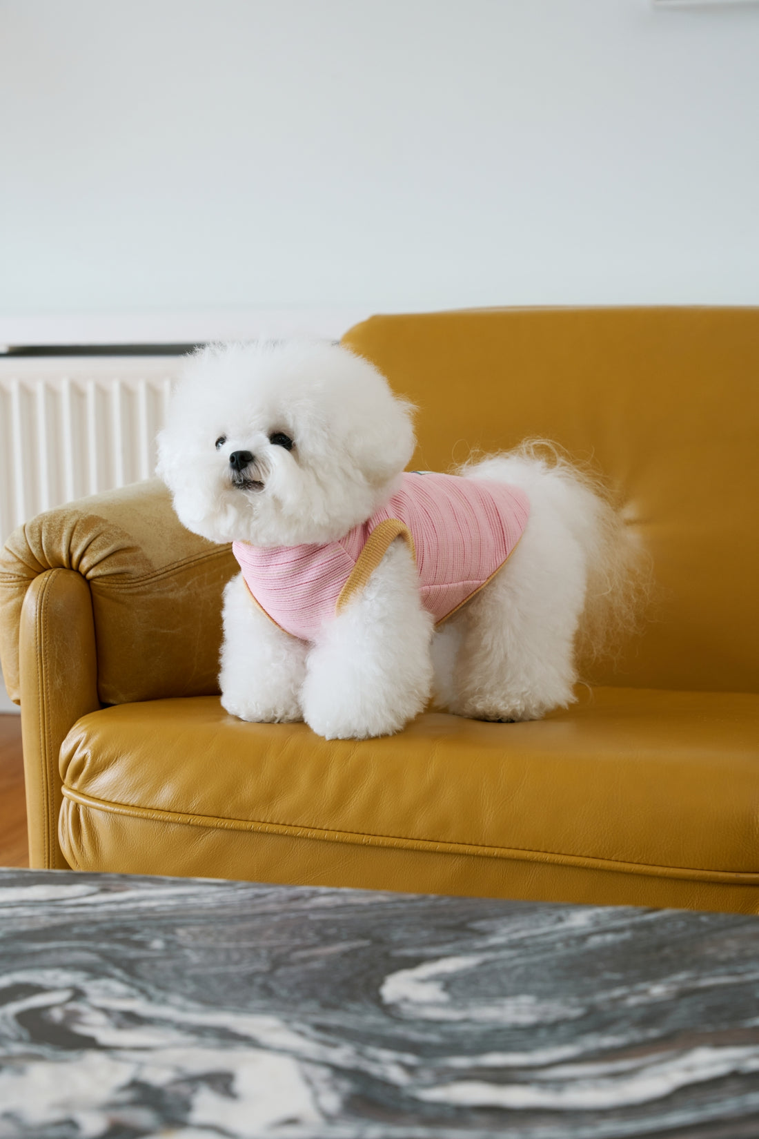 Doggu To Have & To Hold Pet Singlet