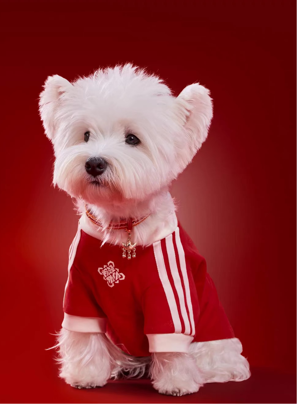 *LIMITED DROP* Adidas Originals Pet Tee (Chinese New Year)