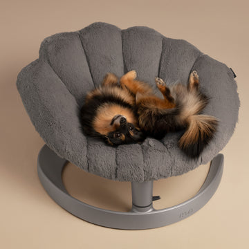 Tavo Shell Pet Bed And Swaying Lounger