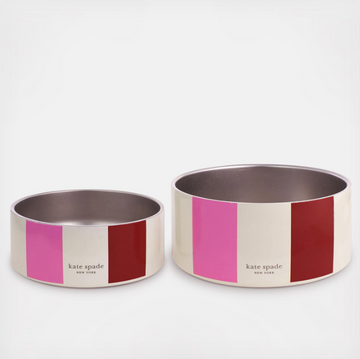 Kate Spade Adventure Stripe Pet Bowl