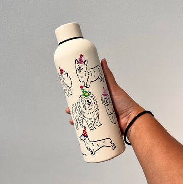 V Paper Co Party Dog 500ml Bottle
